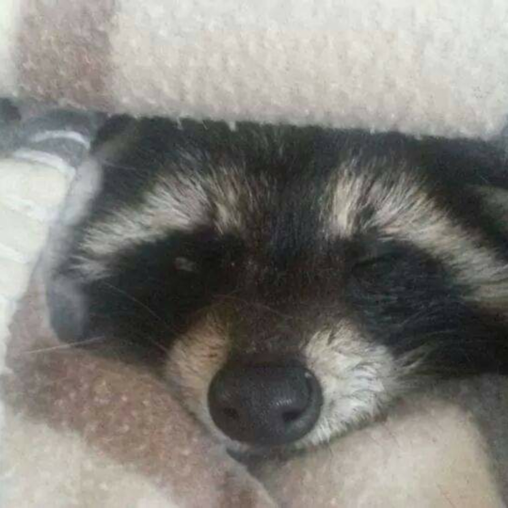 Meet your Posher, Marla - Picture 3 of 16